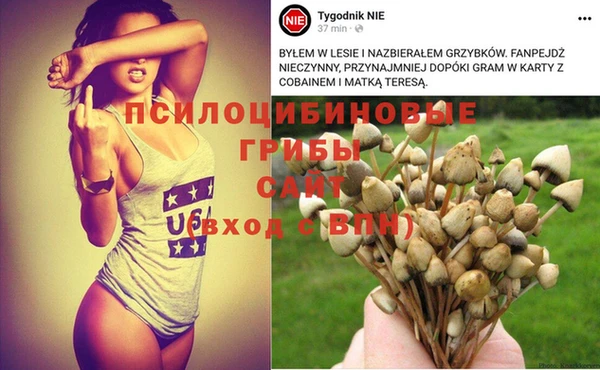 герыч Алзамай