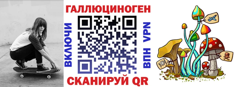 даркнет Telegram Навашино Псилоцибиновые грибы мицелий где найти наркотики