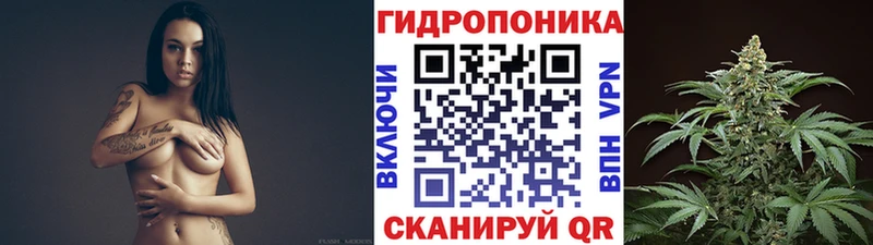 Шишки марихуана Bruce Banner  наркота  гидра ТОР  Навашино 